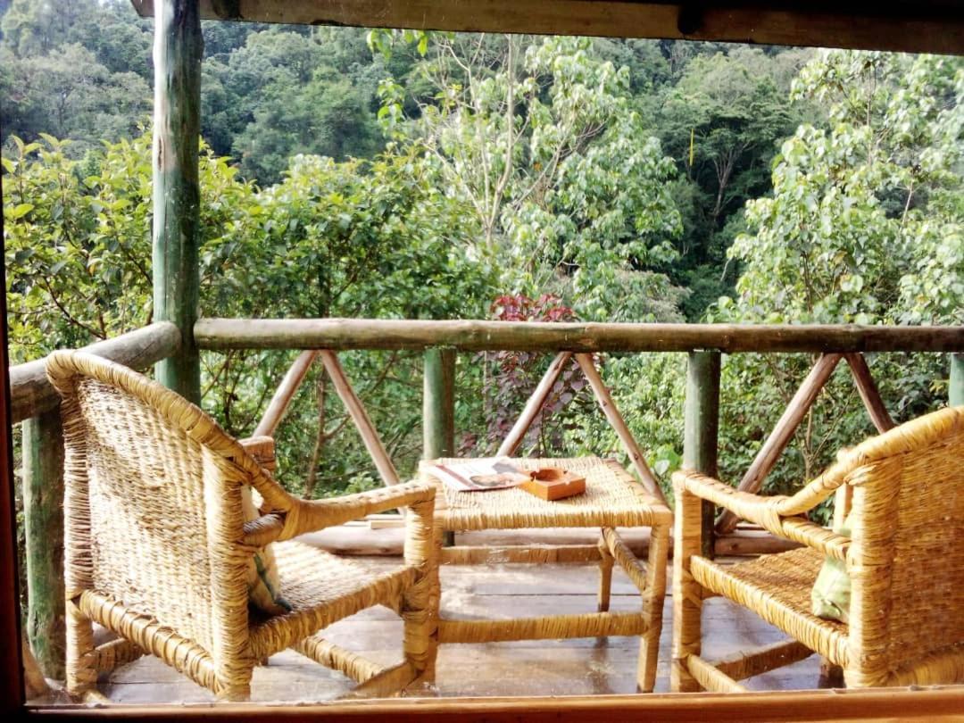 Gorilla Hills Eco-Lodge Kisoro Exteriér fotografie