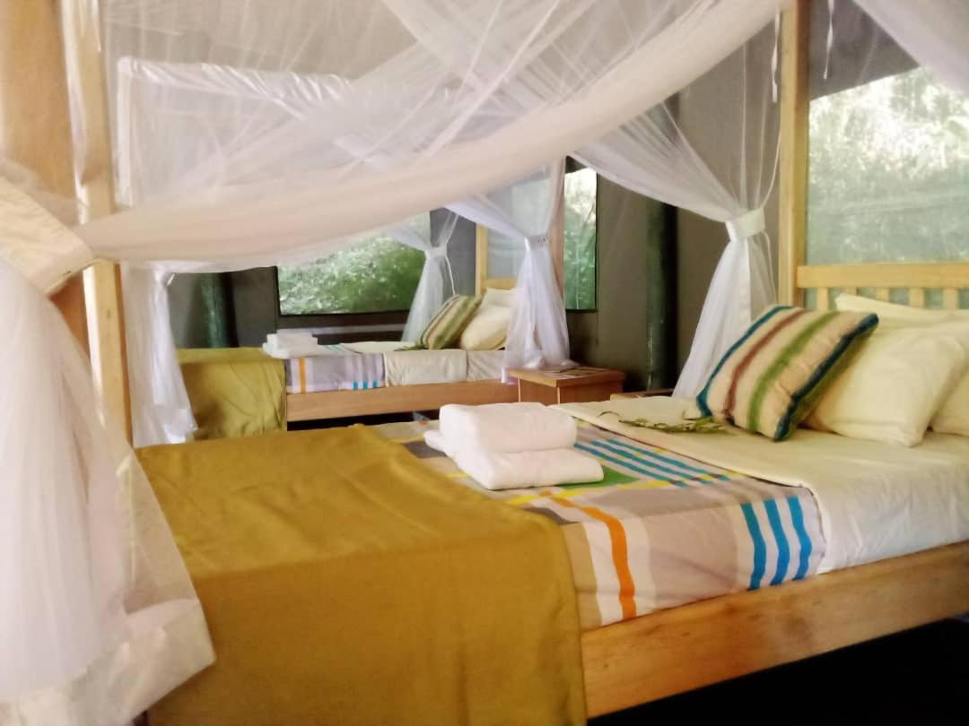 Gorilla Hills Eco-Lodge Kisoro Exteriér fotografie