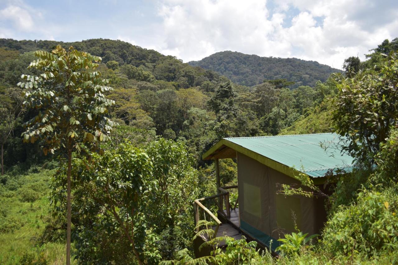 Gorilla Hills Eco-Lodge Kisoro Exteriér fotografie